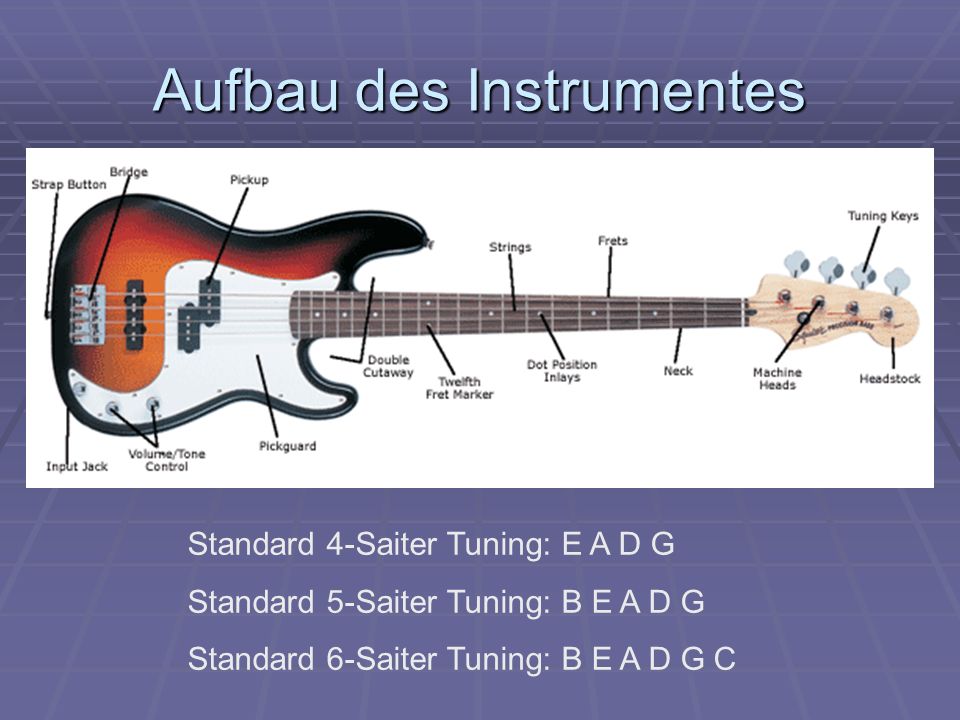 Referat: E-Bass Das Instrument, das einer Band Druck verleiht - ppt video  online herunterladen