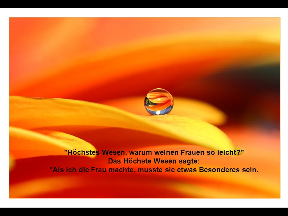 Als ich die Frau machte, musste sie etwas Besonderes sein.