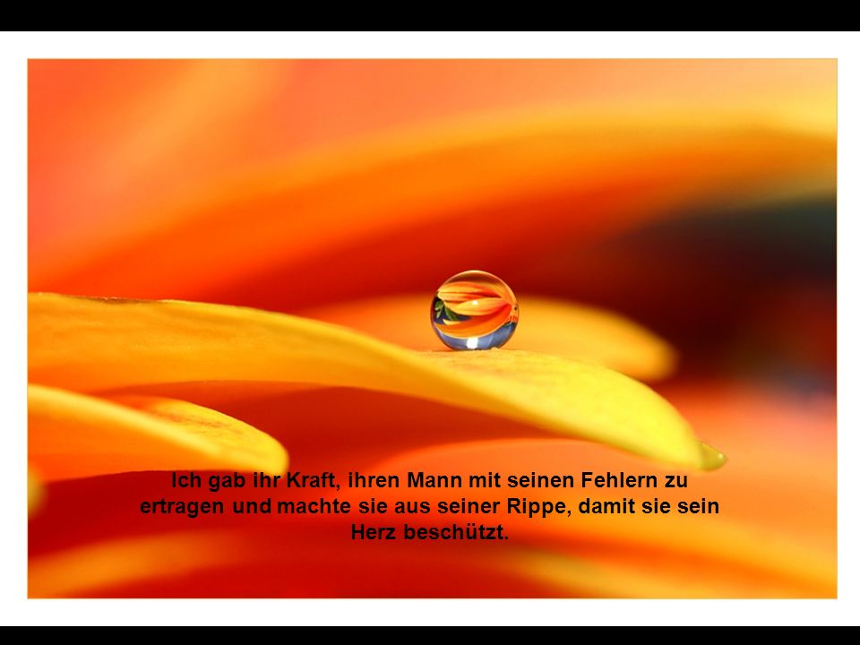 Ich gab ihr Kraft, ihren Mann mit seinen Fehlern zu ertragen und machte sie aus seiner Rippe, damit sie sein Herz beschützt.