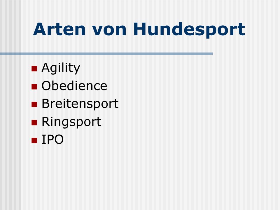 Arten von Hundesport Agility Obedience Breitensport Ringsport IPO