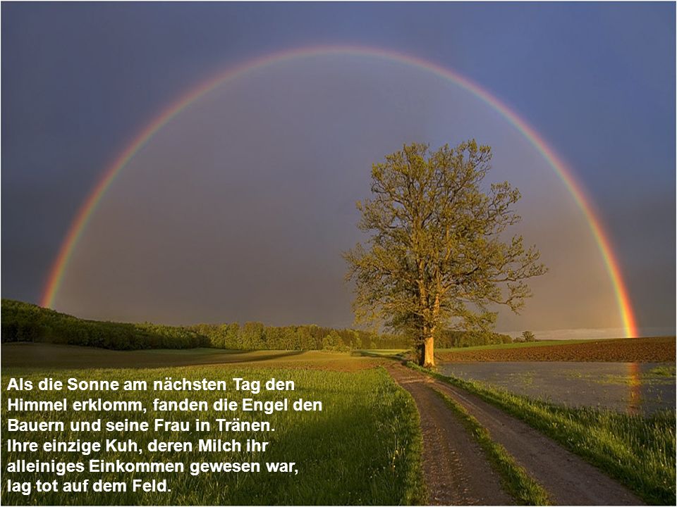 Als die Sonne am nächsten Tag den Himmel erklomm, fanden die Engel den Bauern und seine Frau in Tränen.