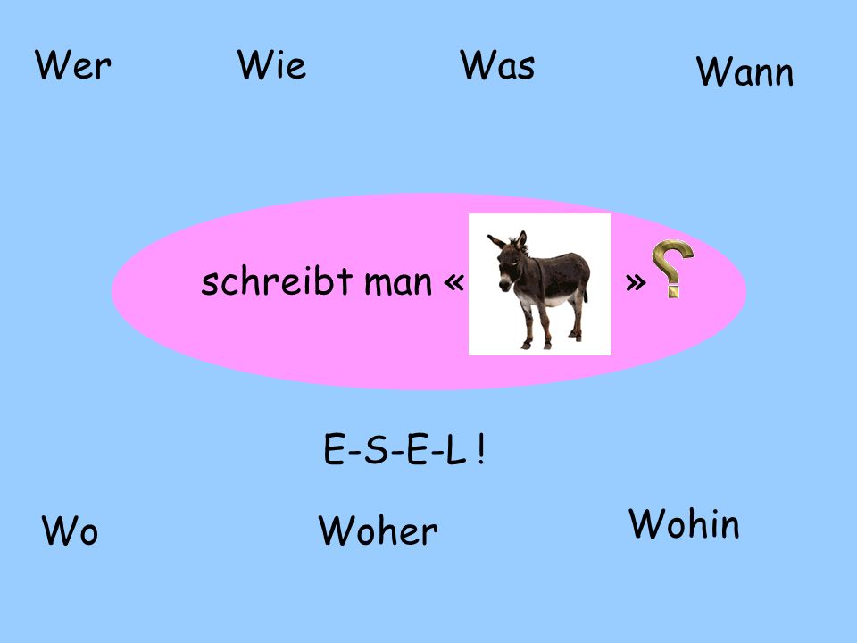 Wer Wie Was Wann schreibt man « » E-S-E-L ! Wohin Wo Woher
