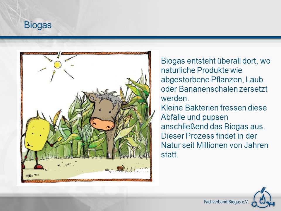 Biogas Biogas entsteht überall dort, wo natürliche Produkte wie abgestorbene Pflanzen, Laub oder Bananenschalen zersetzt werden.