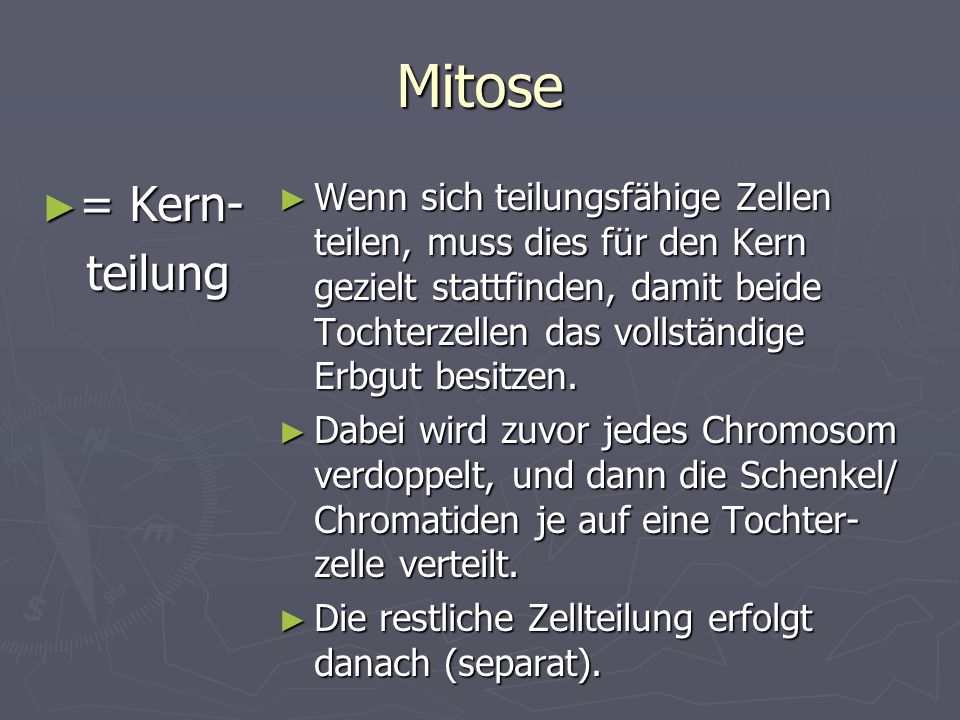 Mitose = Kern- teilung.