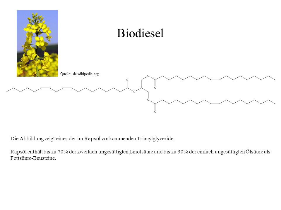 Biodiesel Quelle: de.wikipedia.org. Die Abbildung zeigt eines der im Rapsöl vorkommenden Triacylglyceride.