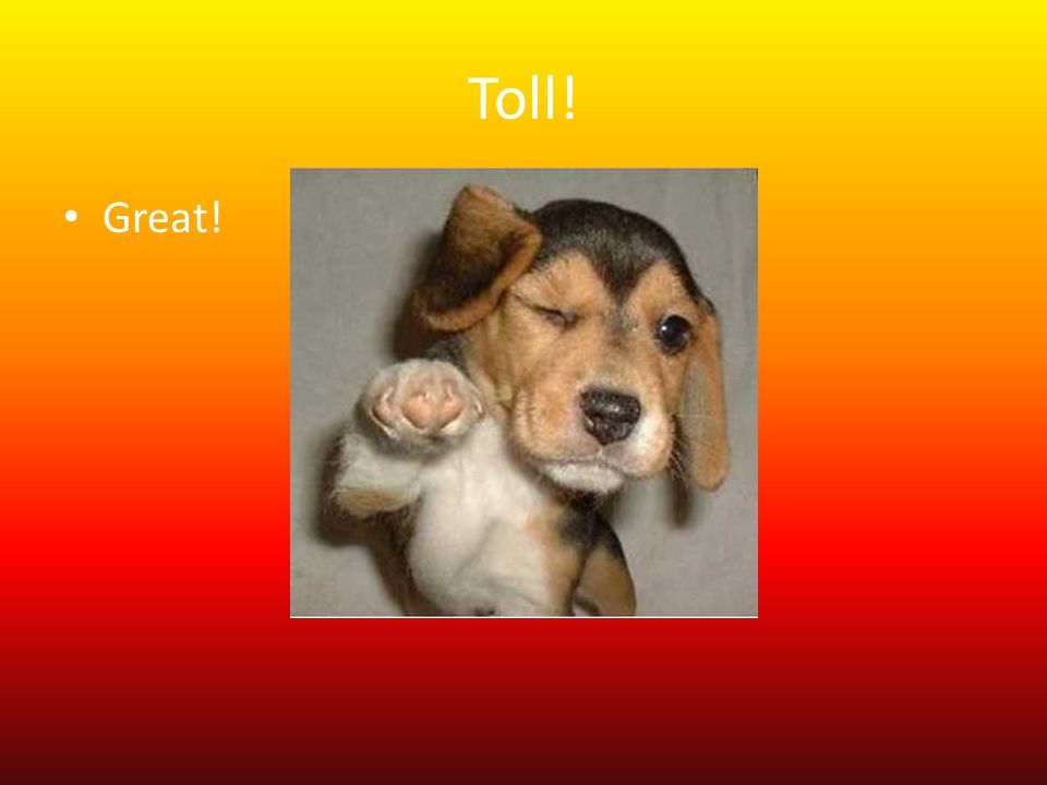 Toll! Great!