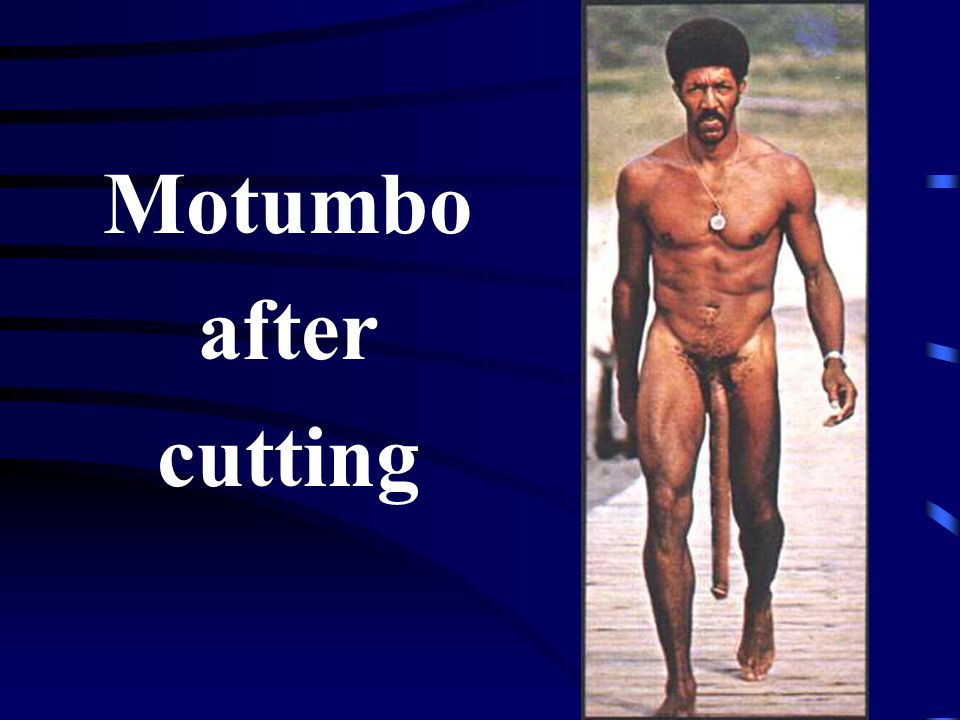 Motumbo after cutting