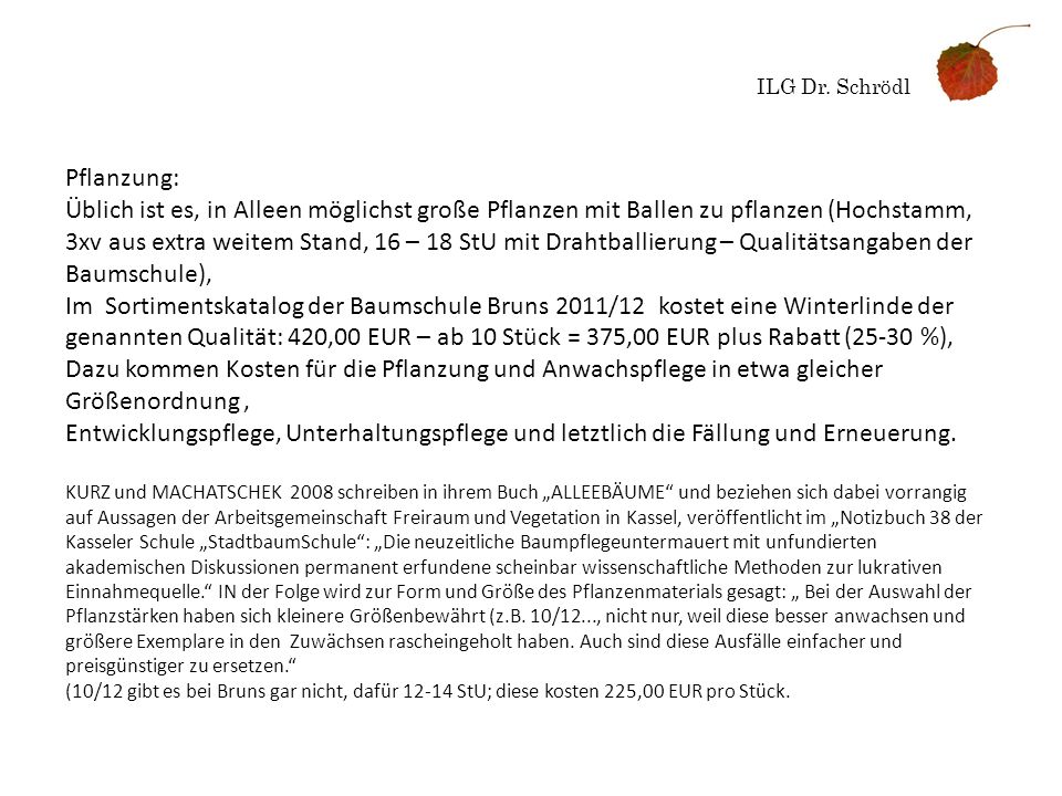 ILG Dr. Schrödl Pflanzung: Üblich ist es, in Alleen möglichst große Pflanzen mit Ballen zu pflanzen (Hochstamm,