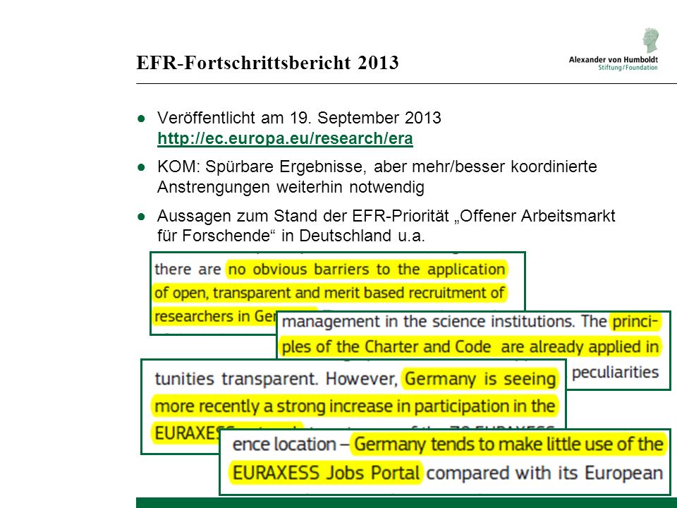 EFR-Fortschrittsbericht 2013
