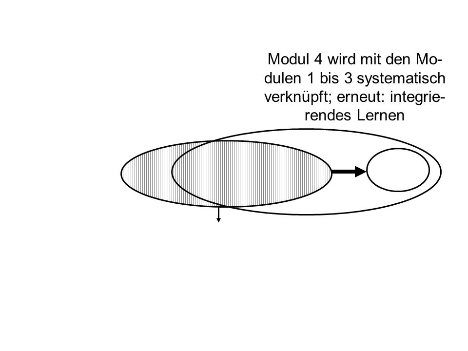 Modul 4 wird mit den Mo-dulen 1 bis 3 systematisch verknüpft; erneut: integrie-rendes Lernen