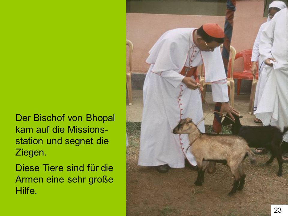 Der Bischof von Bhopal kam auf die Missions-station und segnet die Ziegen. Diese Tiere sind für die Armen eine sehr große Hilfe.