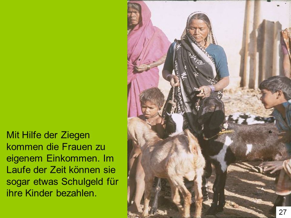 Mit Hilfe der Ziegen kommen die Frauen zu eigenem Einkommen