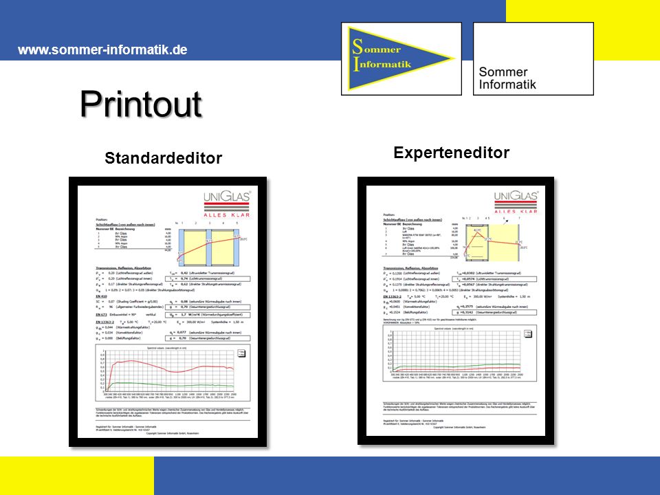 Printout Experteneditor Standardeditor