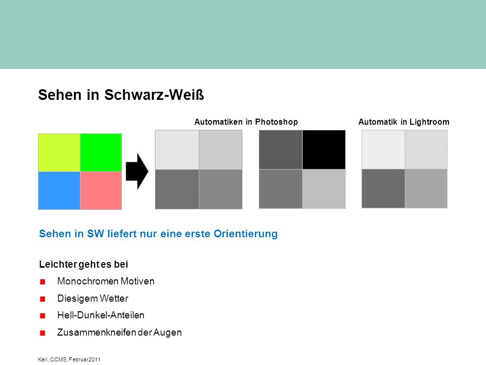 Sehen in Schwarz-Weiß Sehen in SW liefert nur eine erste Orientierung