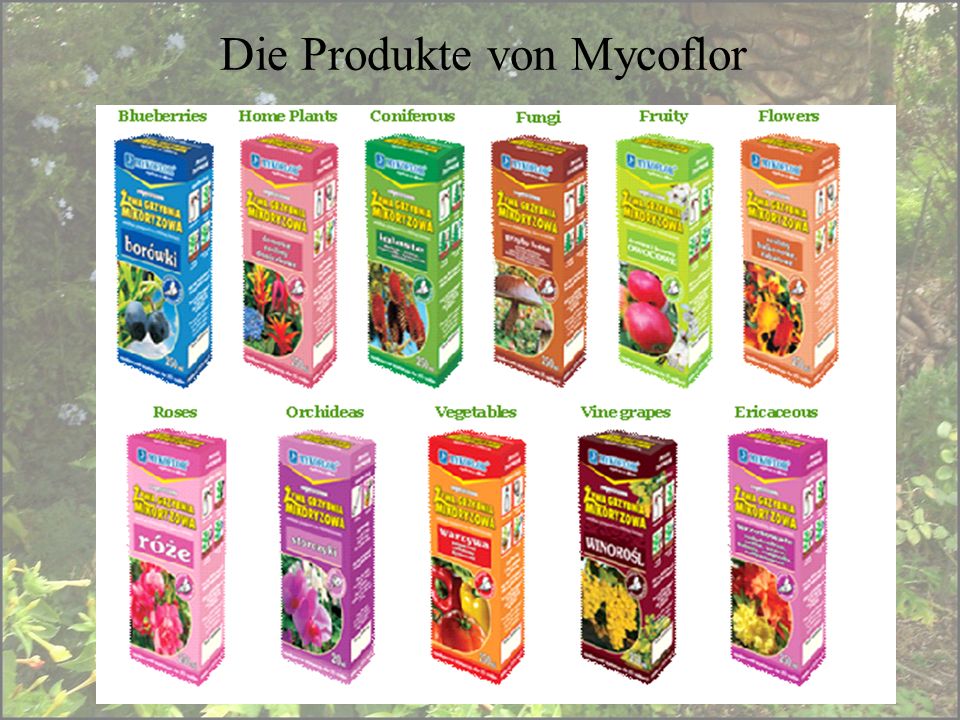 Die Produkte von Mycoflor