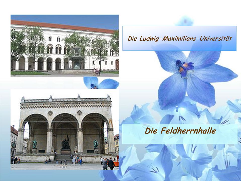 Die Ludwig-Maximilians-Universität