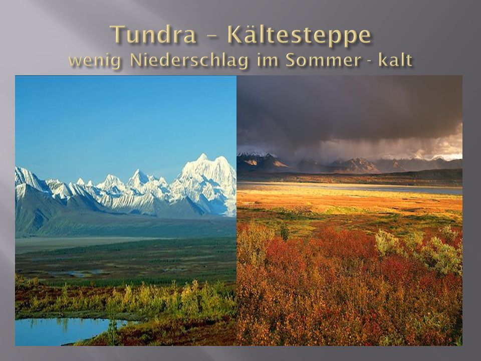 Tundra – Kältesteppe wenig Niederschlag im Sommer - kalt