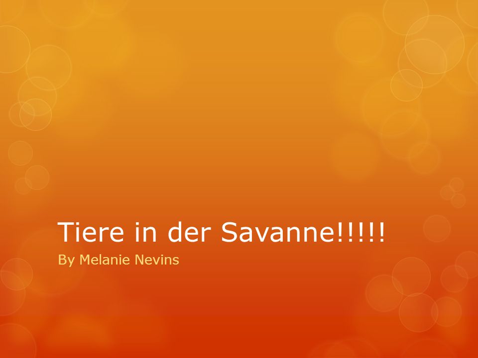 Tiere in der Savanne!!!!! By Melanie Nevins