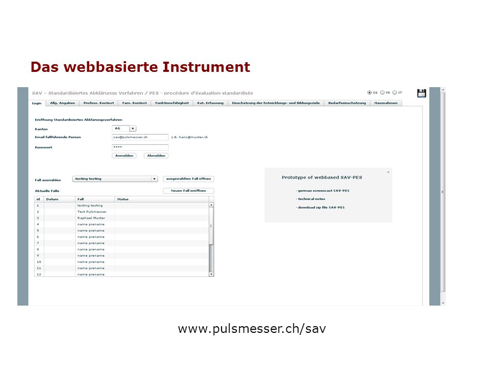 Das webbasierte Instrument