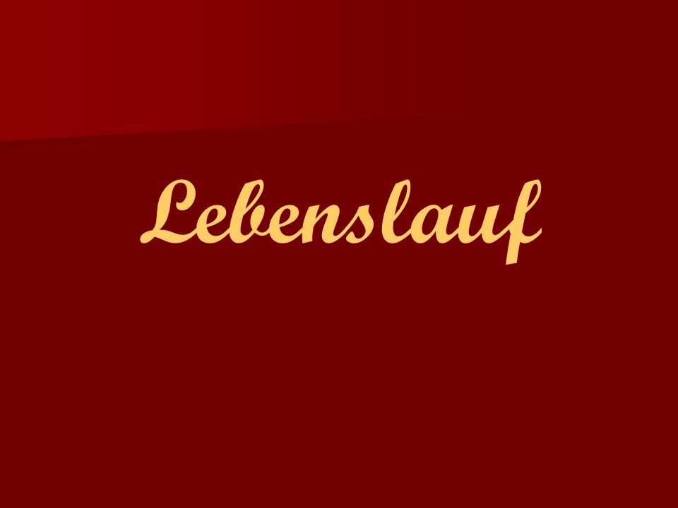 Lebenslauf