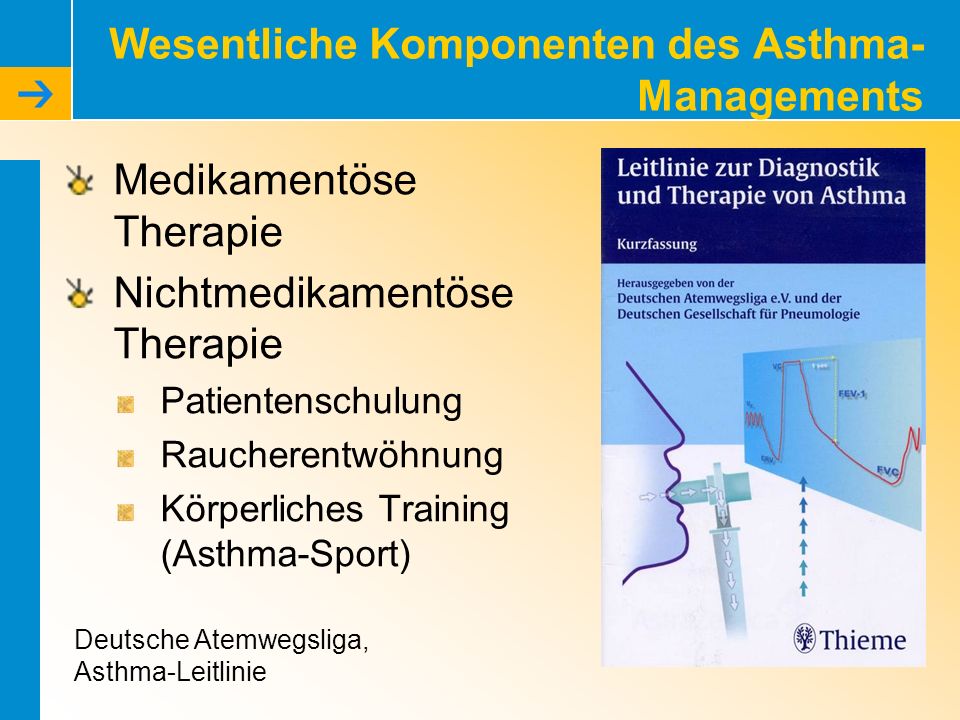 Wesentliche Komponenten des Asthma-Managements