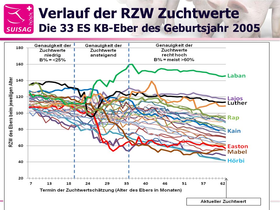 Verlauf der RZW Zuchtwerte Die 33 ES KB-Eber des Geburtsjahr 2005