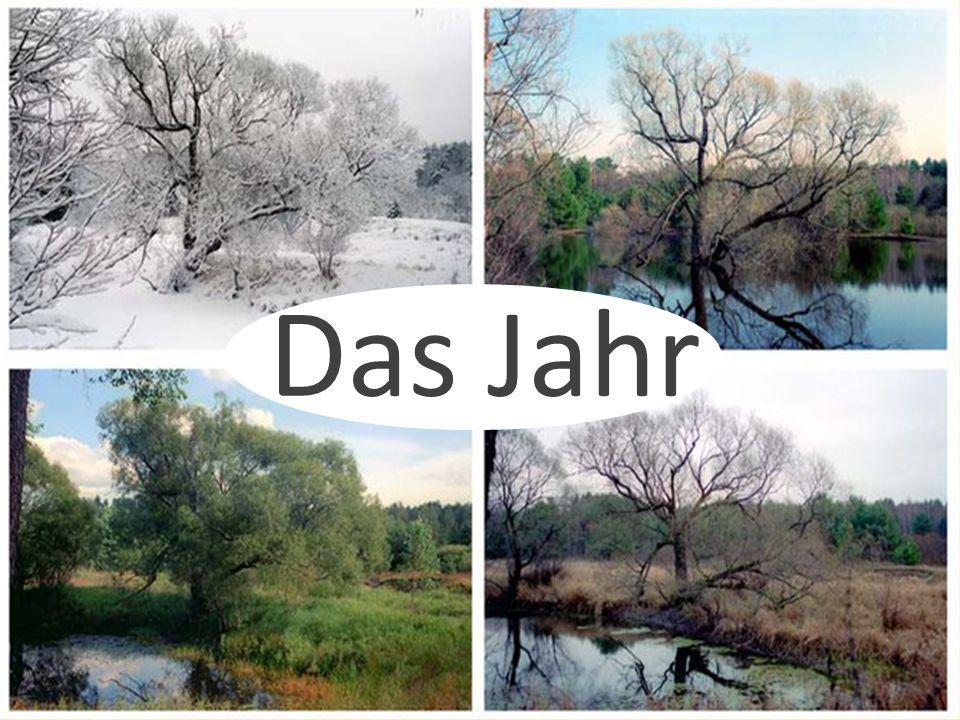 Das Jahr