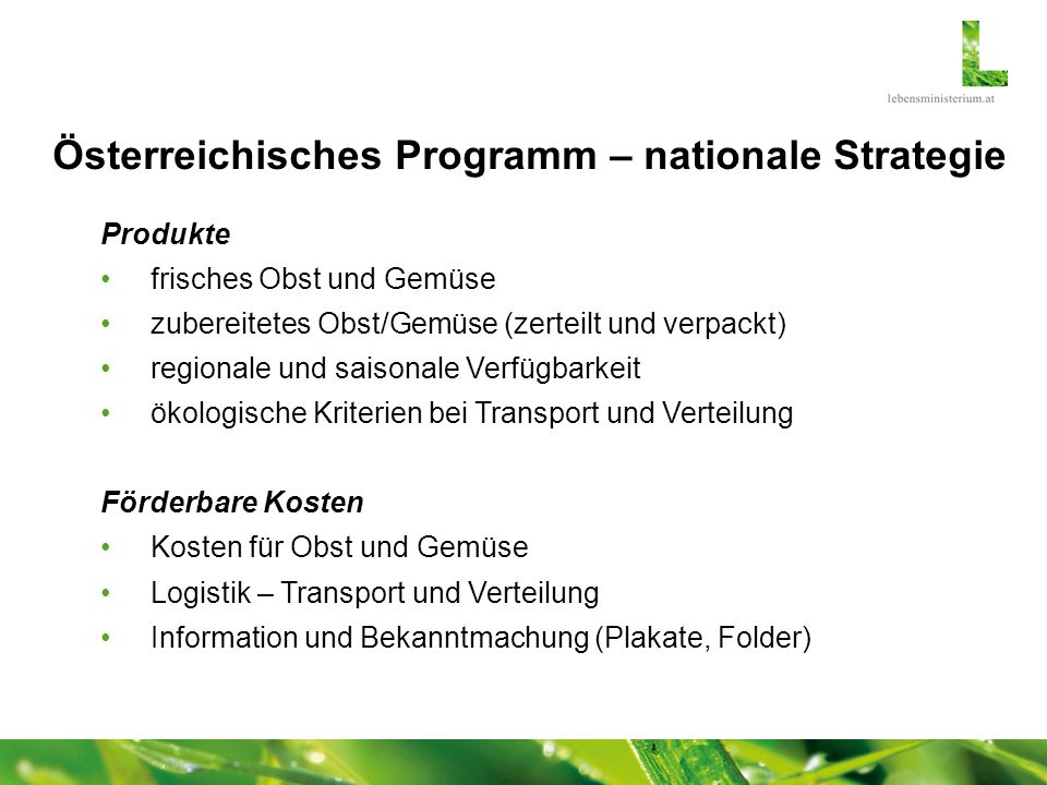 Österreichisches Programm – nationale Strategie