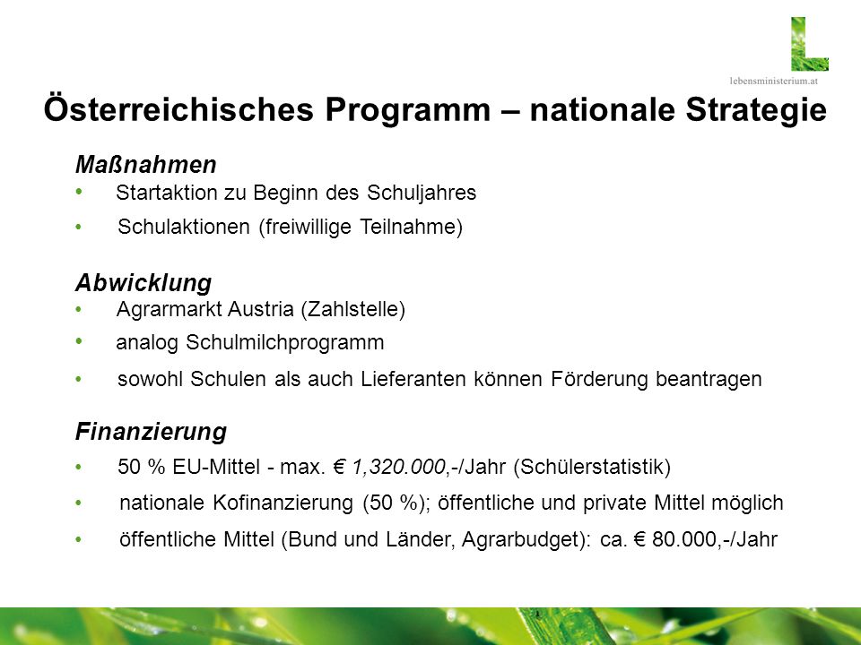 Österreichisches Programm – nationale Strategie