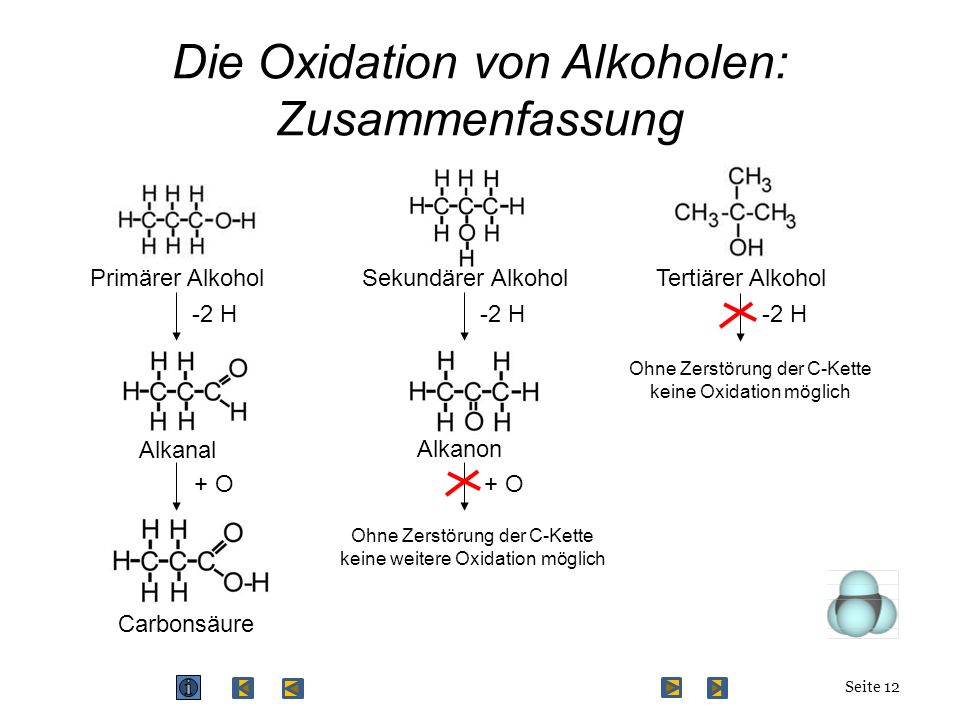 Die Oxidation von Alkoholen: Zusammenfassung