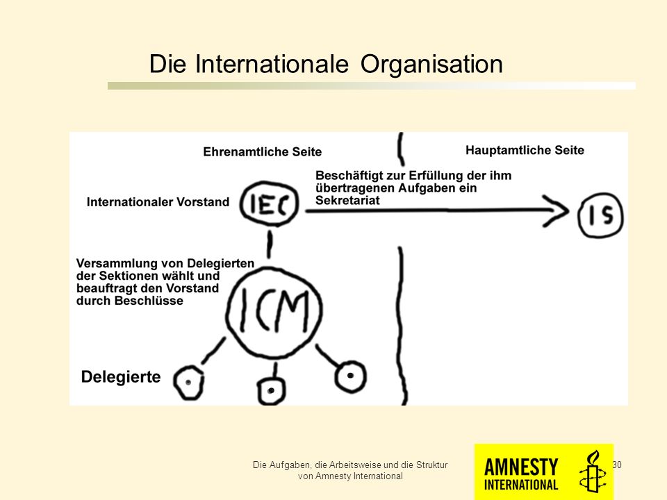 Die Internationale Organisation