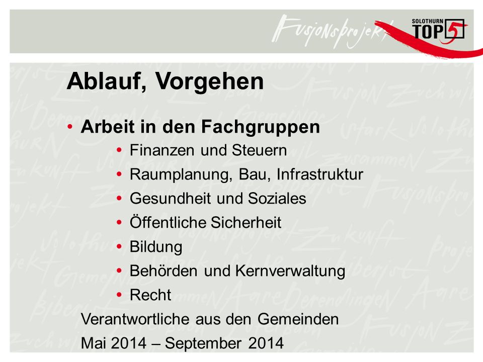 Ablauf, Vorgehen Arbeit in den Fachgruppen Finanzen und Steuern