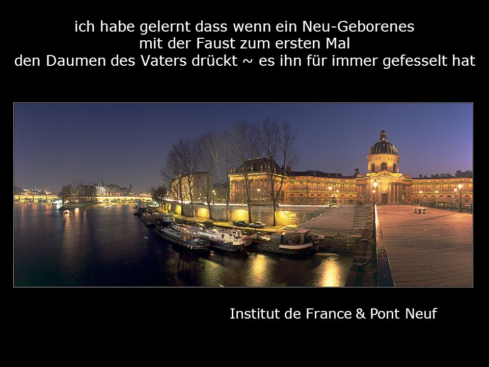 Institut de France & Pont Neuf