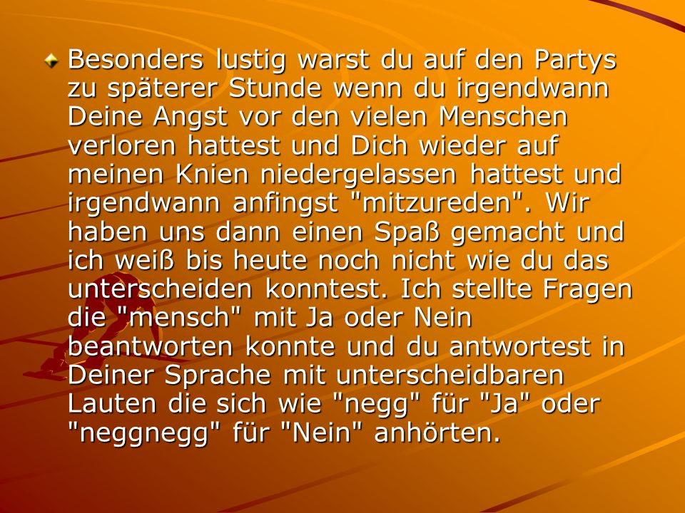 Besonders lustig warst du auf den Partys zu späterer Stunde wenn du irgendwann Deine Angst vor den vielen Menschen verloren hattest und Dich wieder auf meinen Knien niedergelassen hattest und irgendwann anfingst mitzureden .