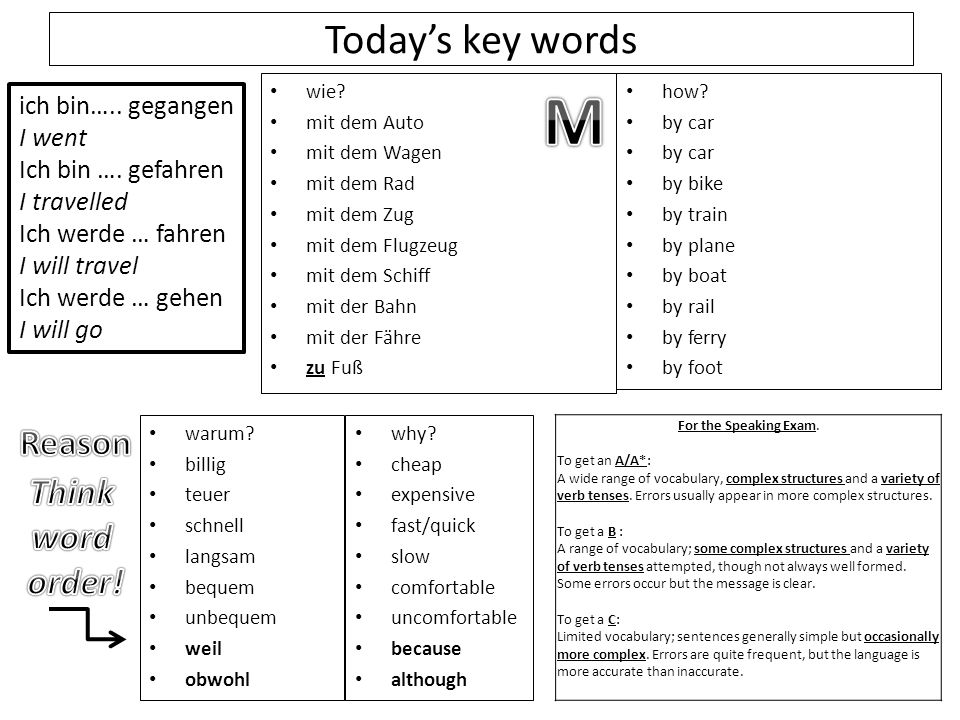 M Today’s key words Reason Think word order! ich bin….. gegangen