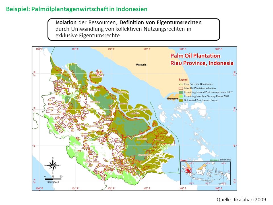 Beispiel: Palmölplantagenwirtschaft in Indonesien
