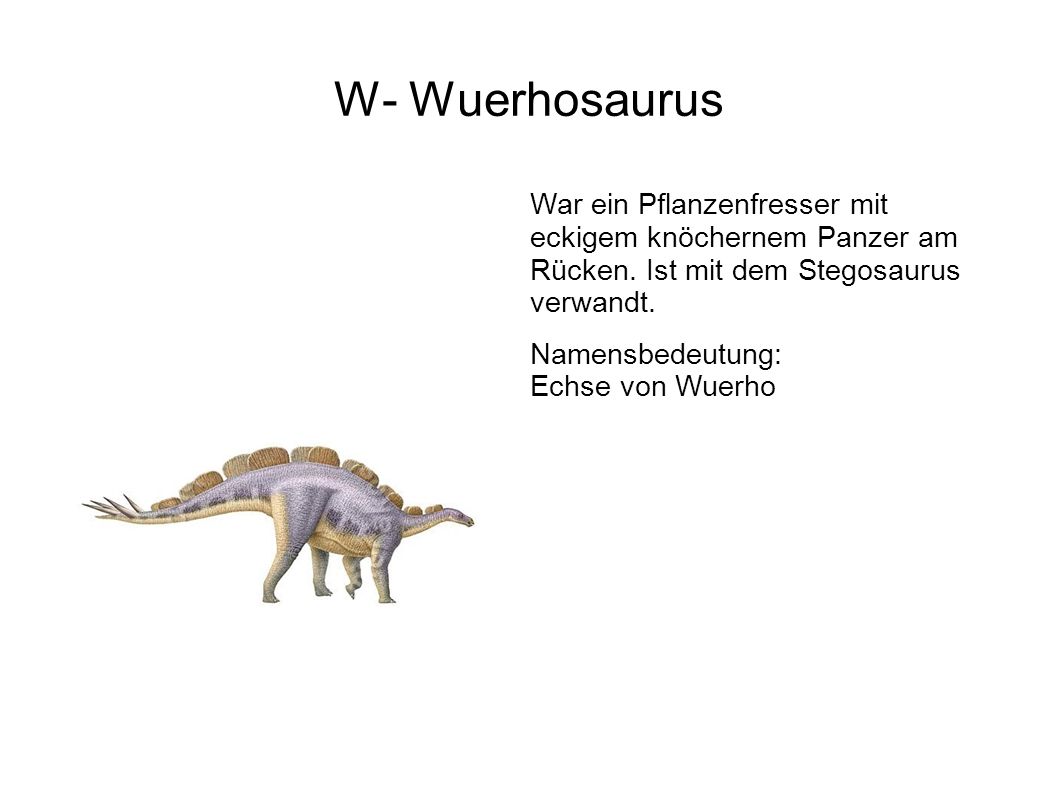 W- Wuerhosaurus War ein Pflanzenfresser mit eckigem knöchernem Panzer am Rücken. Ist mit dem Stegosaurus verwandt.