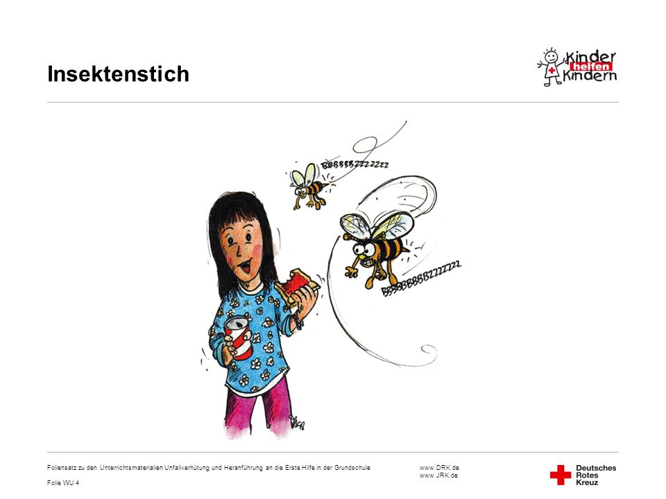 Insektenstich Foliensatz zu den Unterrichtsmaterialien Unfallverhütung und Heranführung an die Erste Hilfe in der Grundschule.