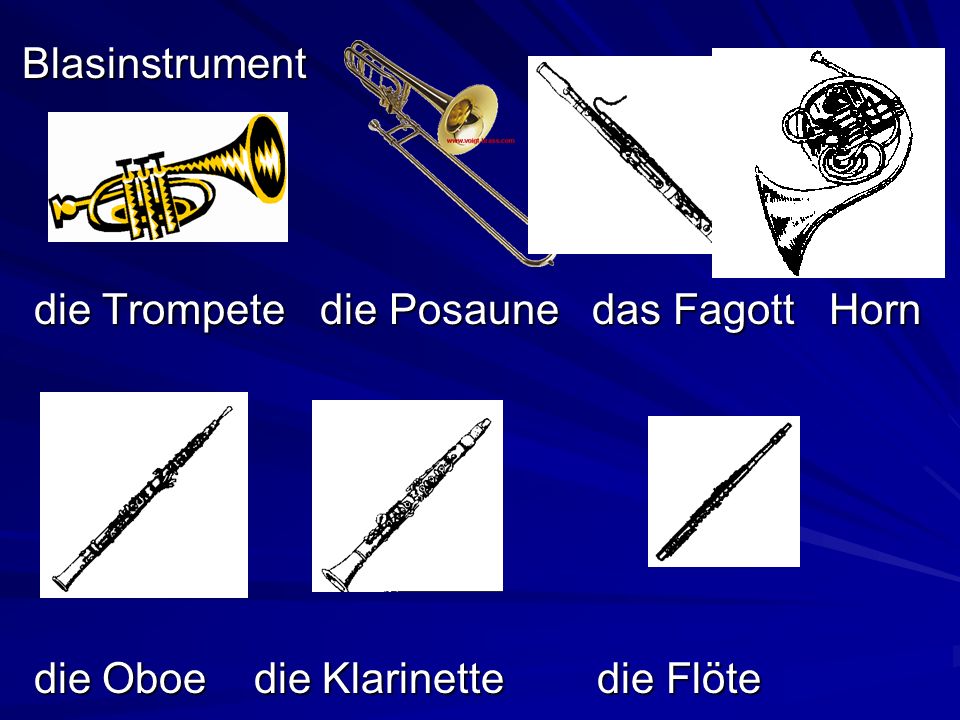 Blasinstrument die Trompete die Posaune das Fagott Horn.