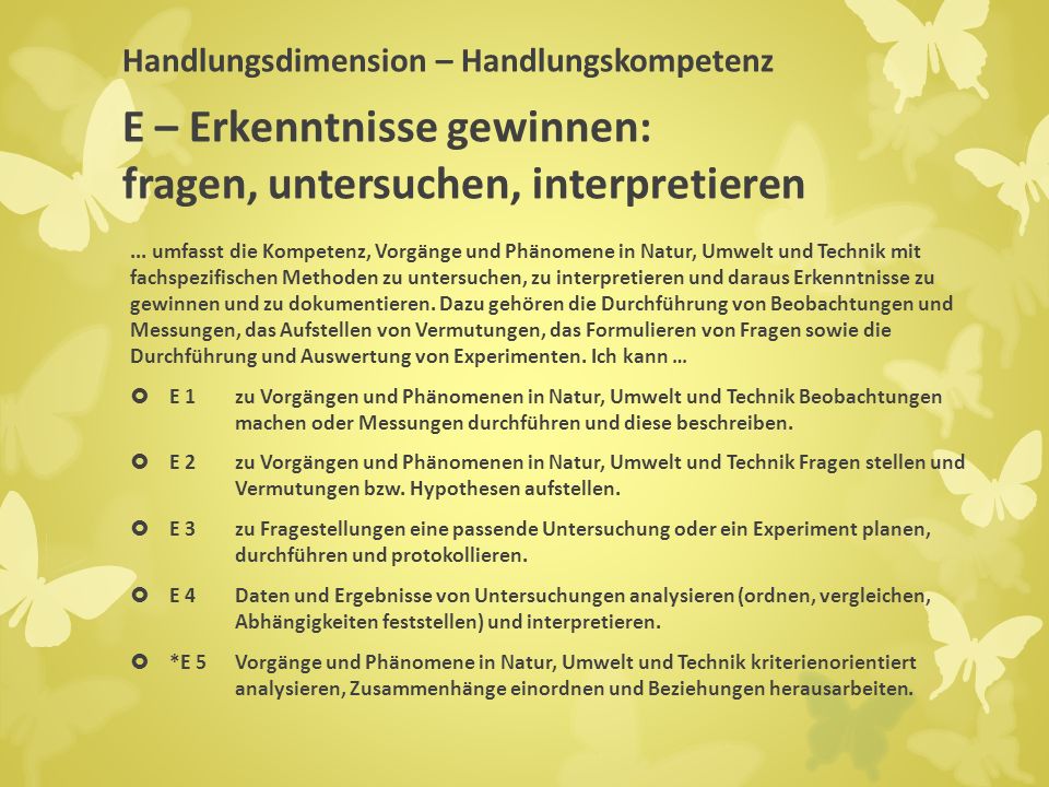 Handlungsdimension – Handlungskompetenz E – Erkenntnisse gewinnen: fragen, untersuchen, interpretieren