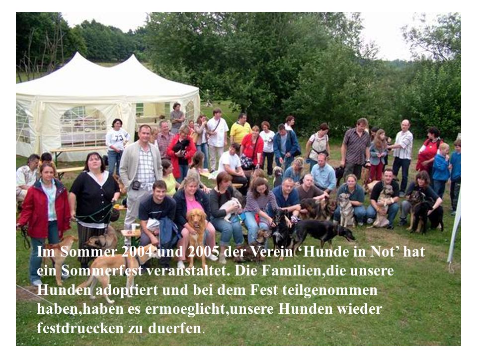 Im Sommer 2004 und 2005 der Verein ‘Hunde in Not’ hat ein Sommerfest veranstaltet. Die Familien,die unsere Hunden adoptiert und bei dem Fest teilgenommen haben,haben es ermoeglicht,unsere Hunden wieder festdruecken zu duerfen.