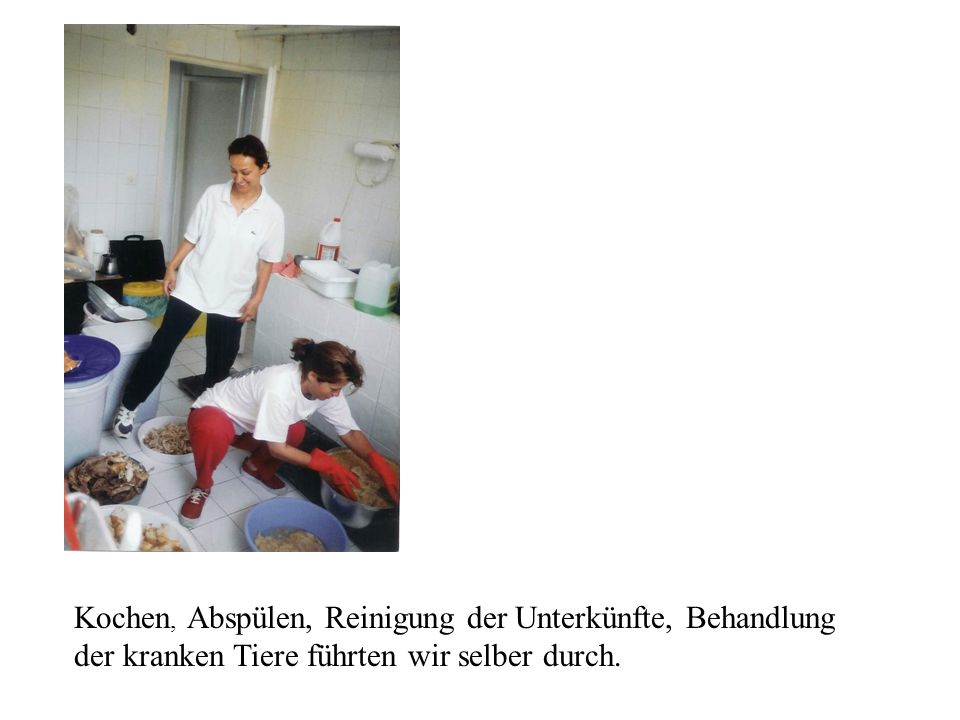 Kochen, Abspülen, Reinigung der Unterkünfte, Behandlung der kranken Tiere führten wir selber durch.
