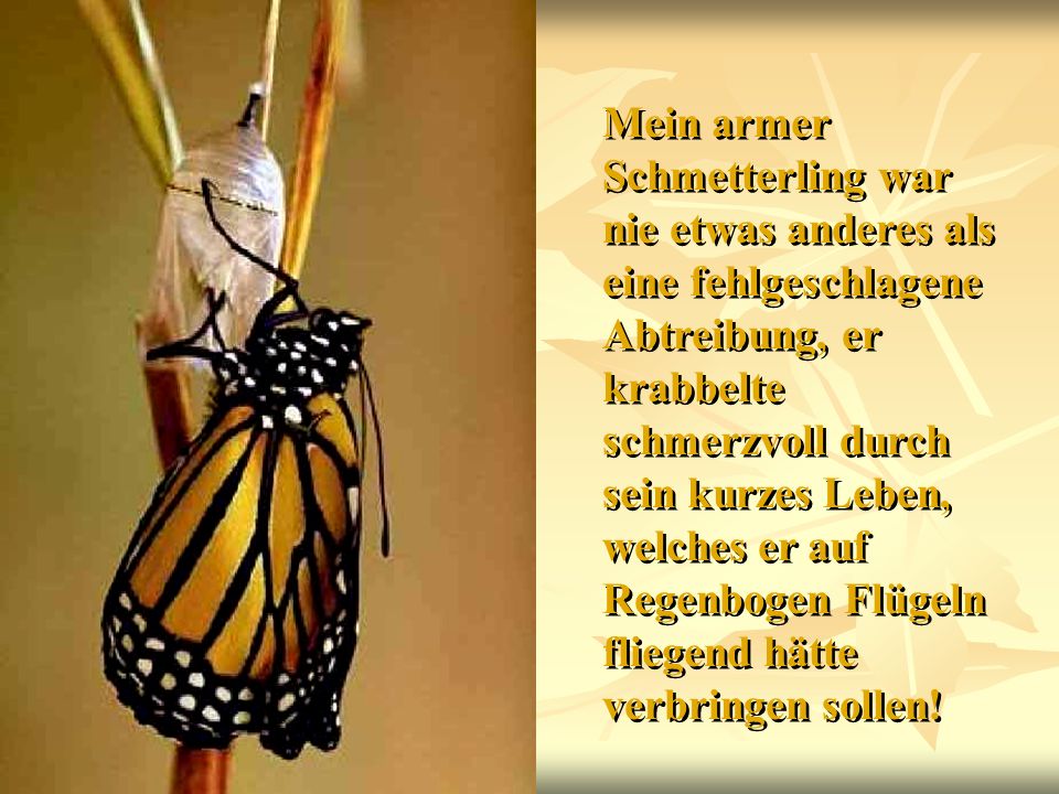 Mein armer Schmetterling war nie etwas anderes als eine fehlgeschlagene Abtreibung, er krabbelte schmerzvoll durch sein kurzes Leben, welches er auf Regenbogen Flügeln fliegend hätte verbringen sollen!