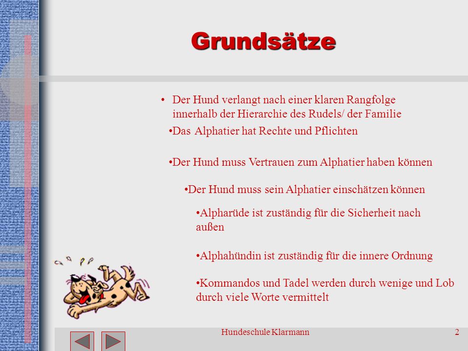 Grundsätze Der Hund verlangt nach einer klaren Rangfolge innerhalb der Hierarchie des Rudels/ der Familie.