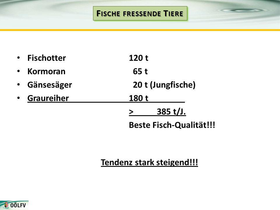 Gänsesäger 20 t (Jungfische) Graureiher 180 t Beste Fisch-Qualität!!!