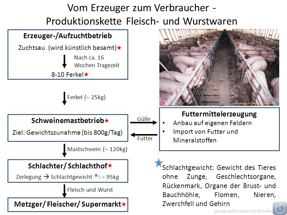 Vom Erzeuger zum Verbraucher - Produktionskette Fleisch- und Wurstwaren