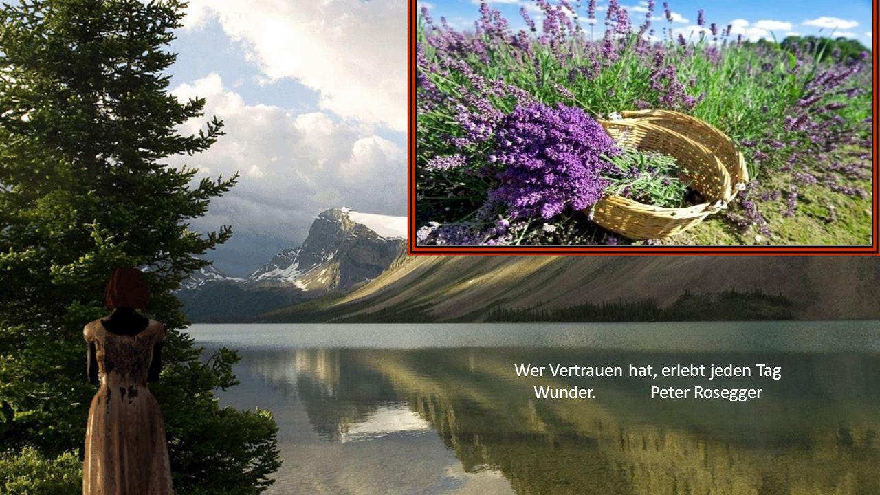 Wer Vertrauen hat, erlebt jeden Tag Wunder. Peter Rosegger