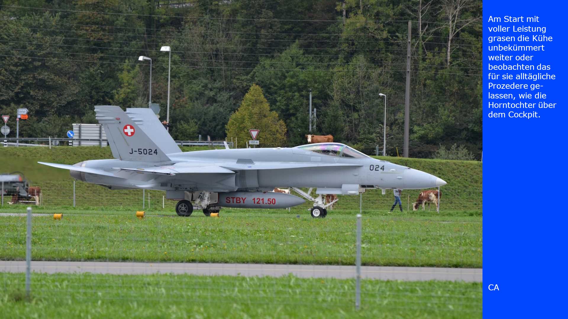 Am Start mit voller Leistung grasen die Kühe unbekümmert weiter oder beobachten das für sie alltägliche Prozedere ge-lassen, wie die Horntochter über dem Cockpit.