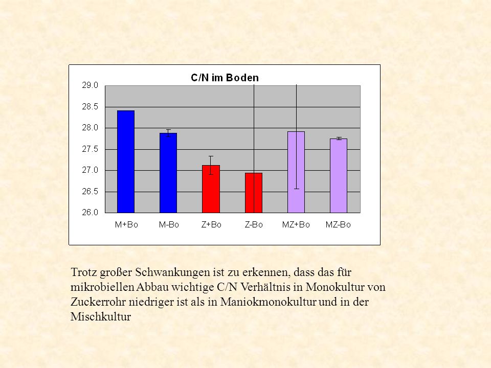 Trotz großer Schwankungen ist zu erkennen, dass das für mikrobiellen Abbau wichtige C/N Verhältnis in Monokultur von Zuckerrohr niedriger ist als in Maniokmonokultur und in der Mischkultur