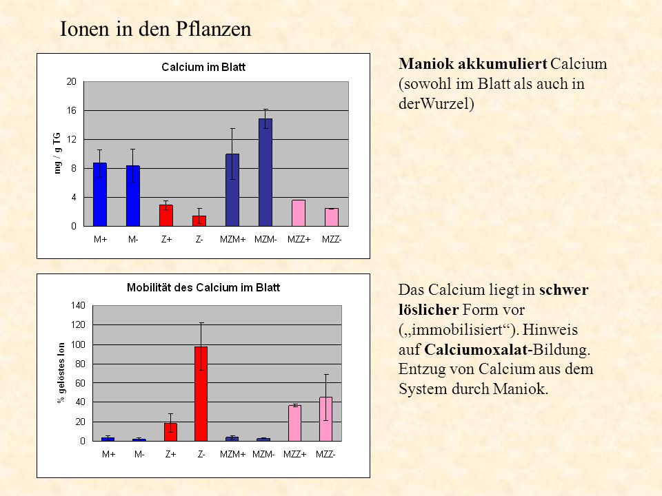 Ionen in den Pflanzen Maniok akkumuliert Calcium (sowohl im Blatt als auch in derWurzel)